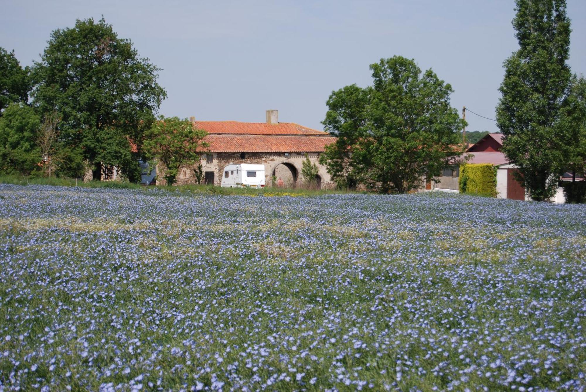Chambre D'Hote Manoir De La Baudonniere Monsireigne Εξωτερικό φωτογραφία