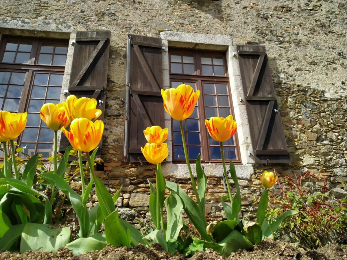 Chambre D'Hote Manoir De La Baudonniere Monsireigne Εξωτερικό φωτογραφία